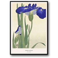 BLUE IRISES