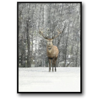 Hi Deer | Winter Editions