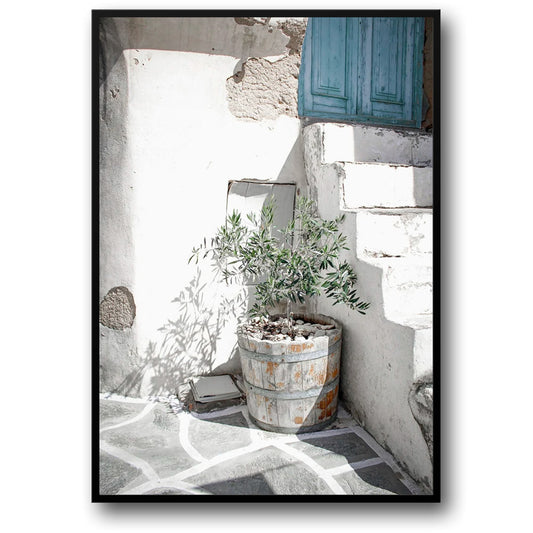 Italy Olive Garden | Vintage Landscape Scenery