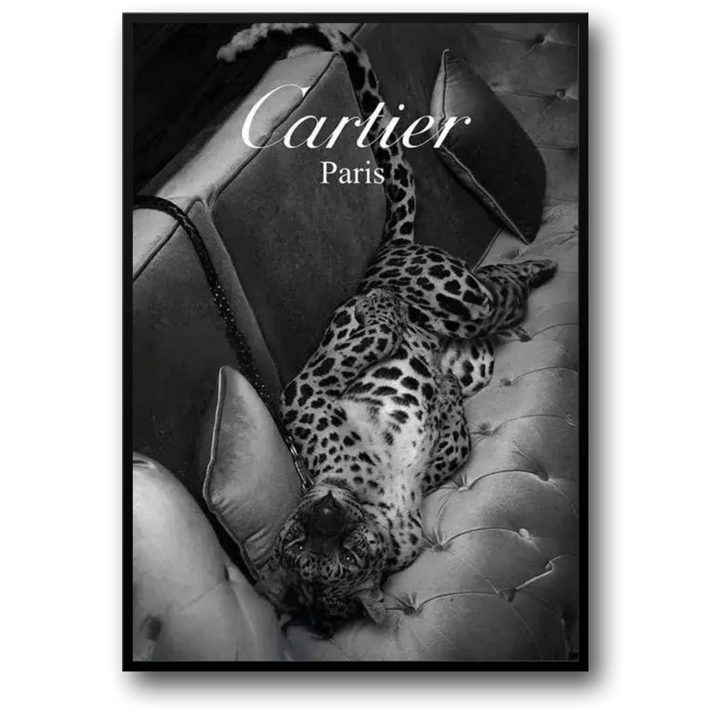 Cartier & Jaguar | Paris Fashion Silhouette
