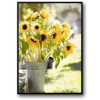 SUNFLOWER SERENITY
