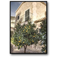 THE LEMON TREE