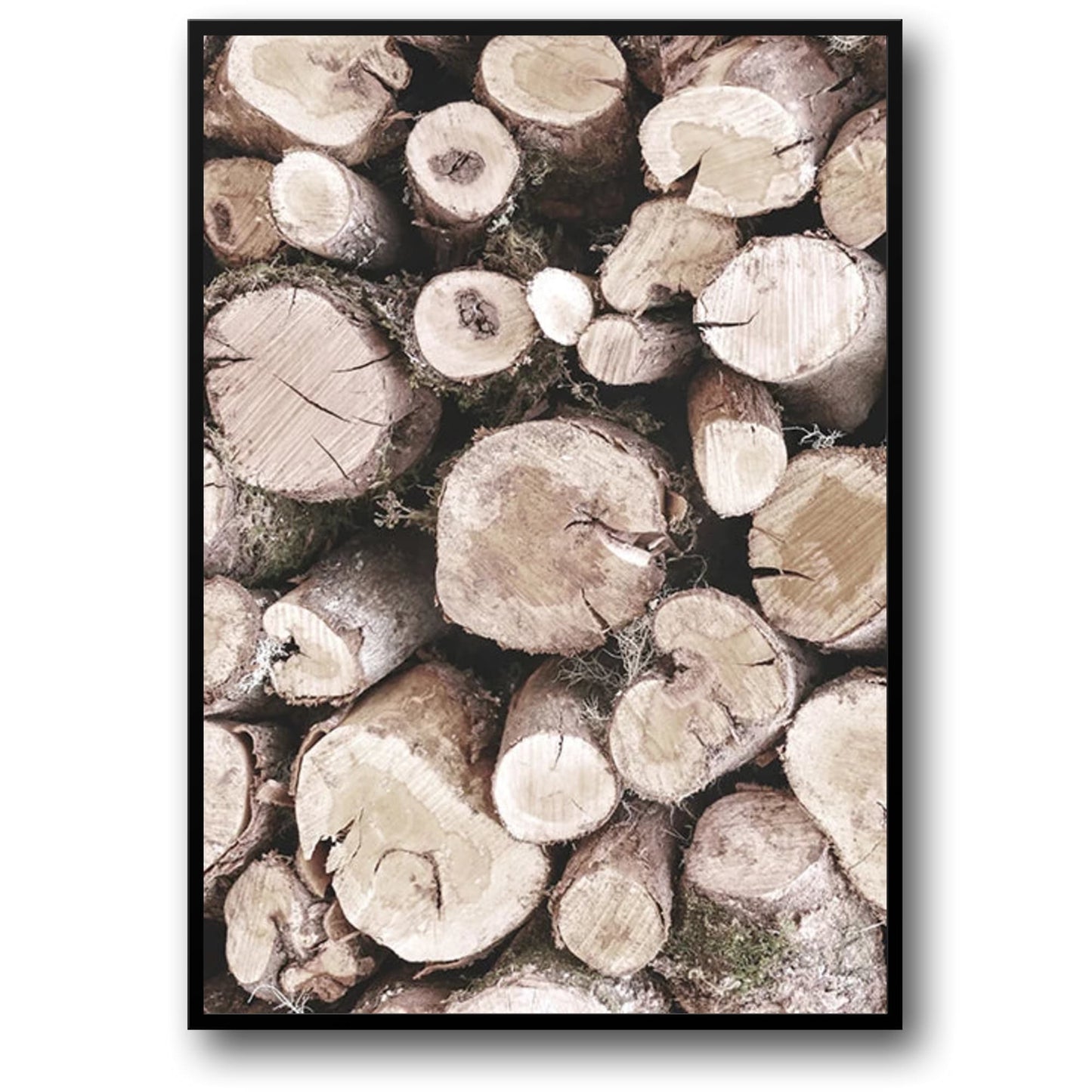 Nature's Geometry | Wall Art Poster | Geometric Design | Home Decor | Artistic Print | Visual Artwork | Nature-Inspired