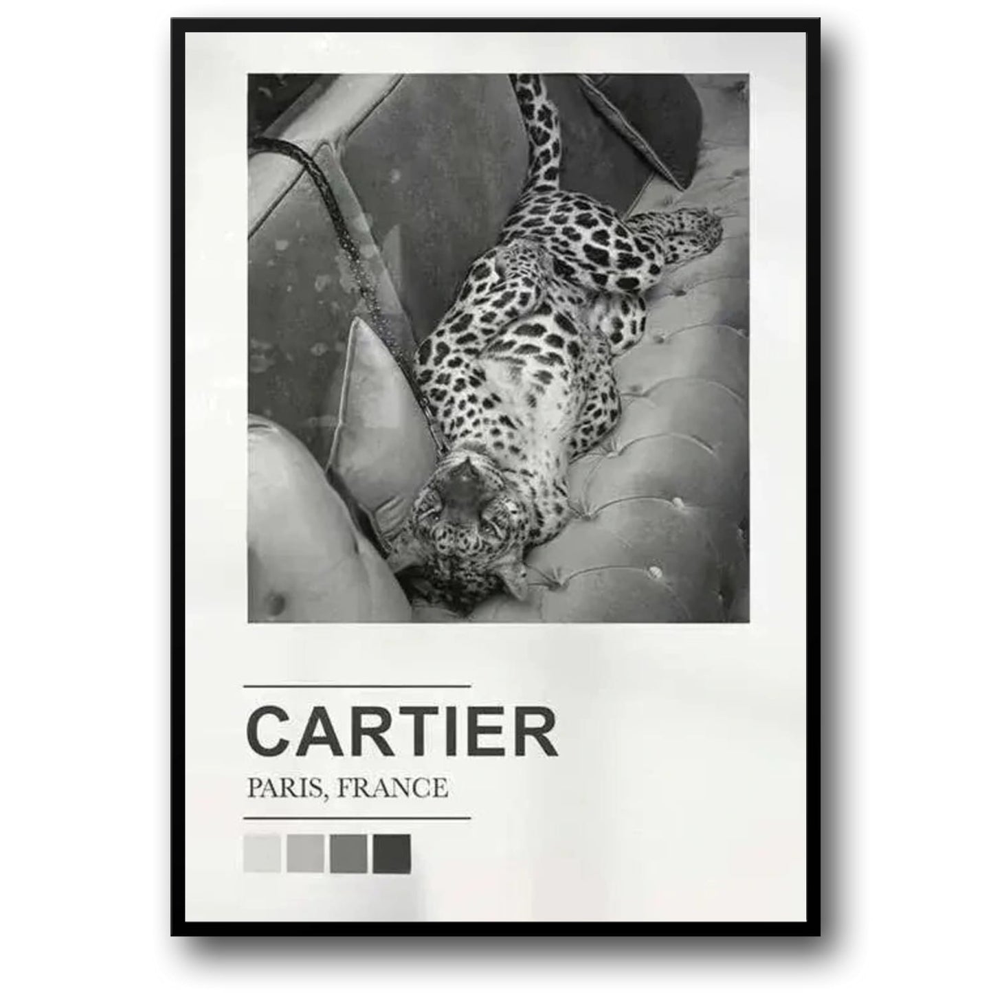 Cartier Expo | Paris Fashion Silhouettes