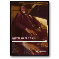 I NEVER LIKED YOU