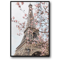 EIFFEL IN BLOOM