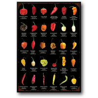 PEPPERS & CHILLIS