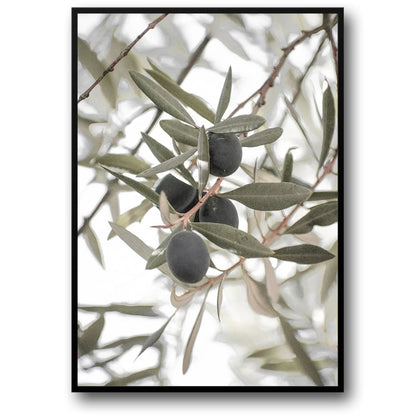 Olive Garden Landscape | Tranquil Mediterranean Scene