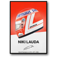 F1 HELMET TRIBUTE