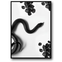 BLACK SNAKE ROAM