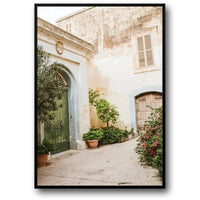 ARCHES & LEAVES
