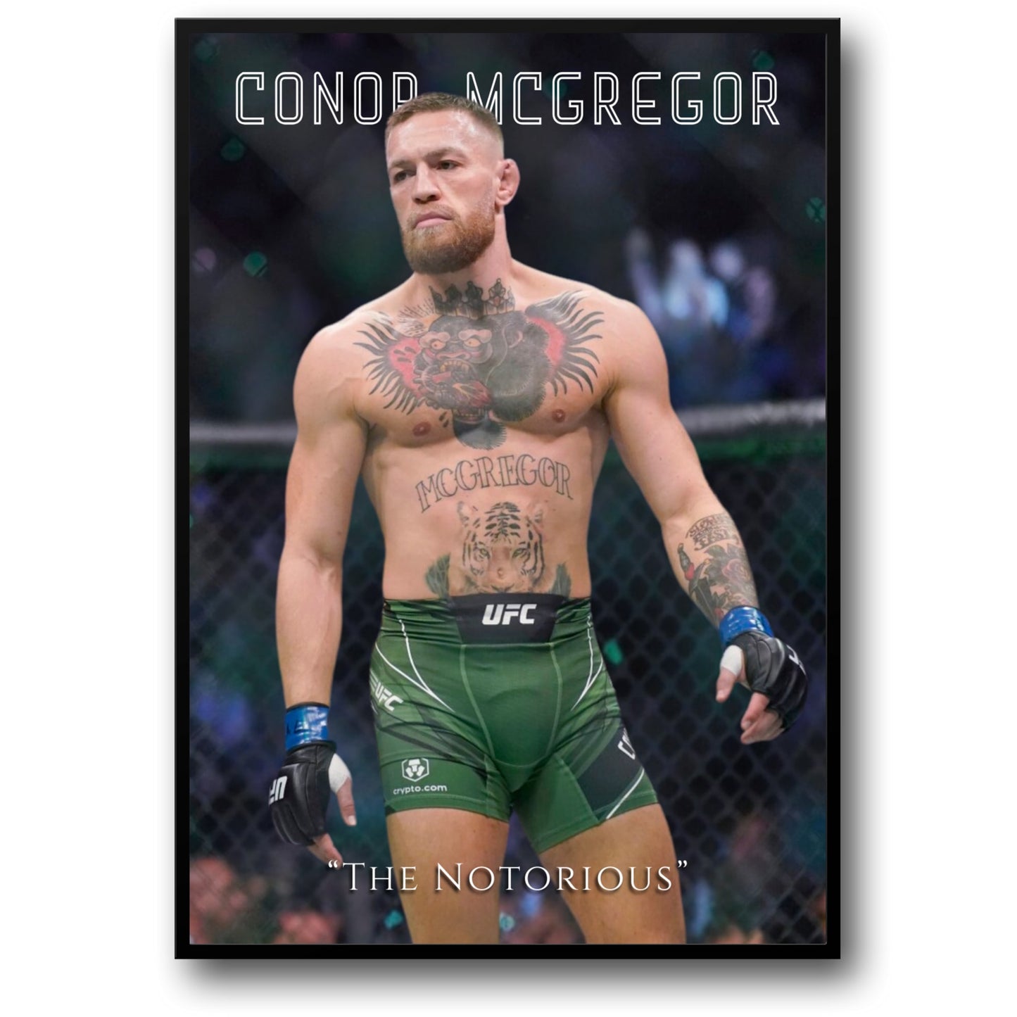 Conor McGregor | The Notorious UFC Fighter