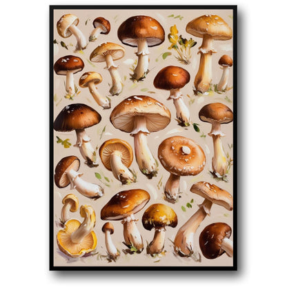 Diverse Mushroom Species | Illustrated Botanical Art