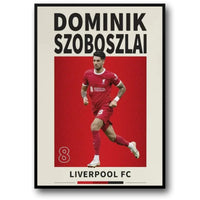 DOMINIK SZOBOSZLAI