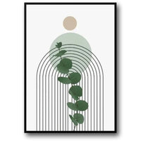 MODERN BOTANICAL FLOW
