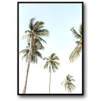 TROPICAL SUNSET