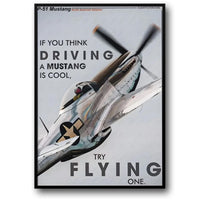 AMERICAN FIGHTER F22
