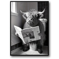 HIGHLAND COW READING