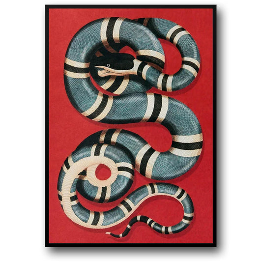 Kingsnake | Alessandro Michele Artwork | Gucci Legends