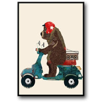 BEAR'S SCOOTER SERENADE