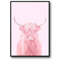 PINK HIGHLAND COW