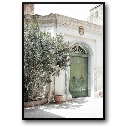 Olive Garden Landscape | Green Oasis | Italy Nature Scene