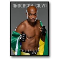 THE SPIDER