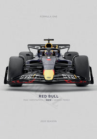 RED BULL RACING - MAX & SERGIO RB19
