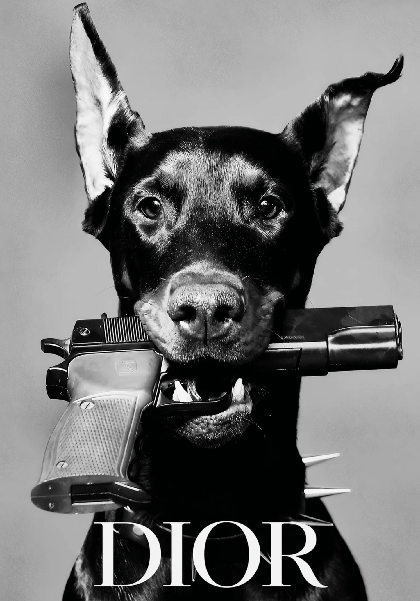 Dior Dog | Elegant Home Decor Art