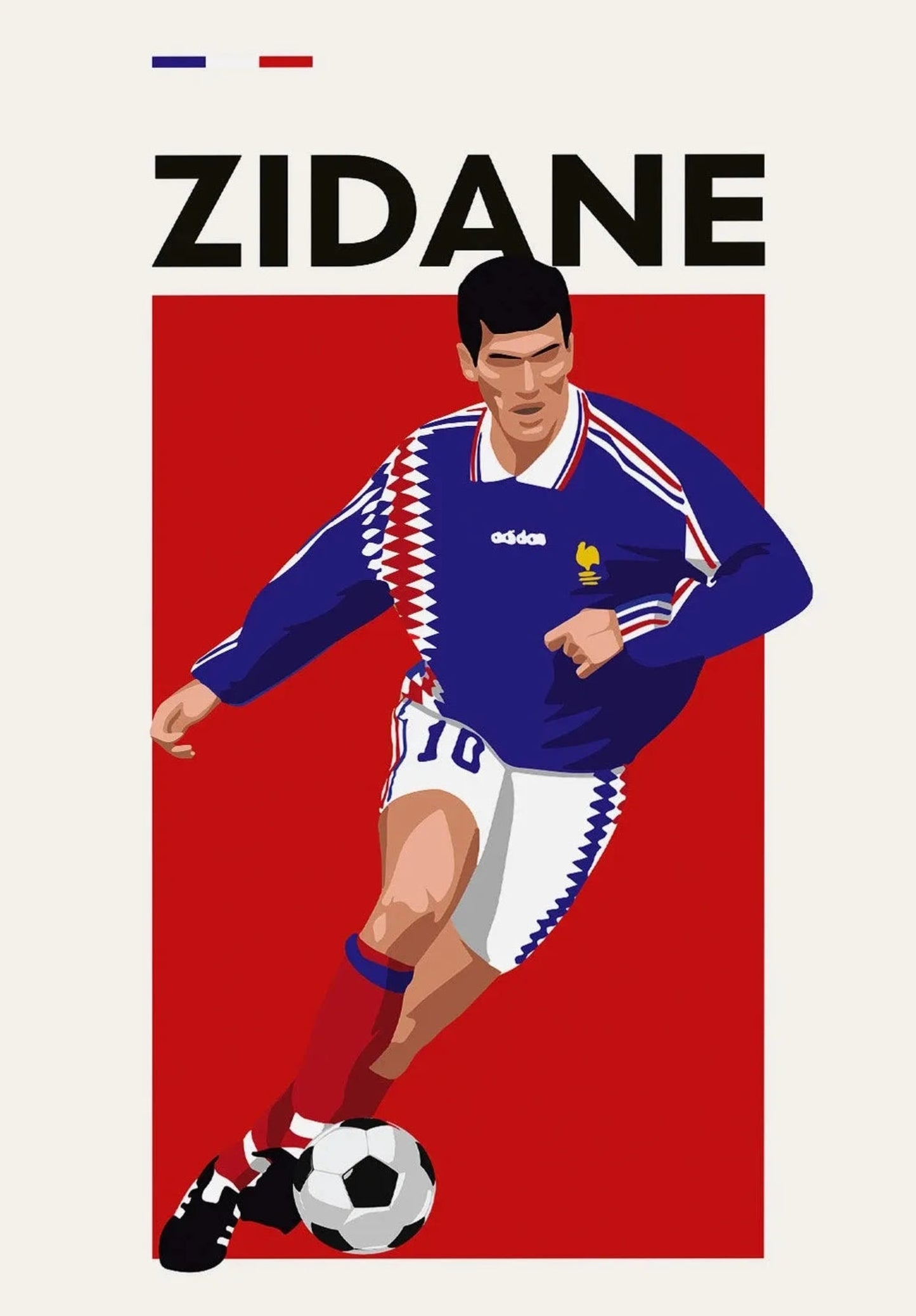 Zinedine Zidane | Football Legend Tribute