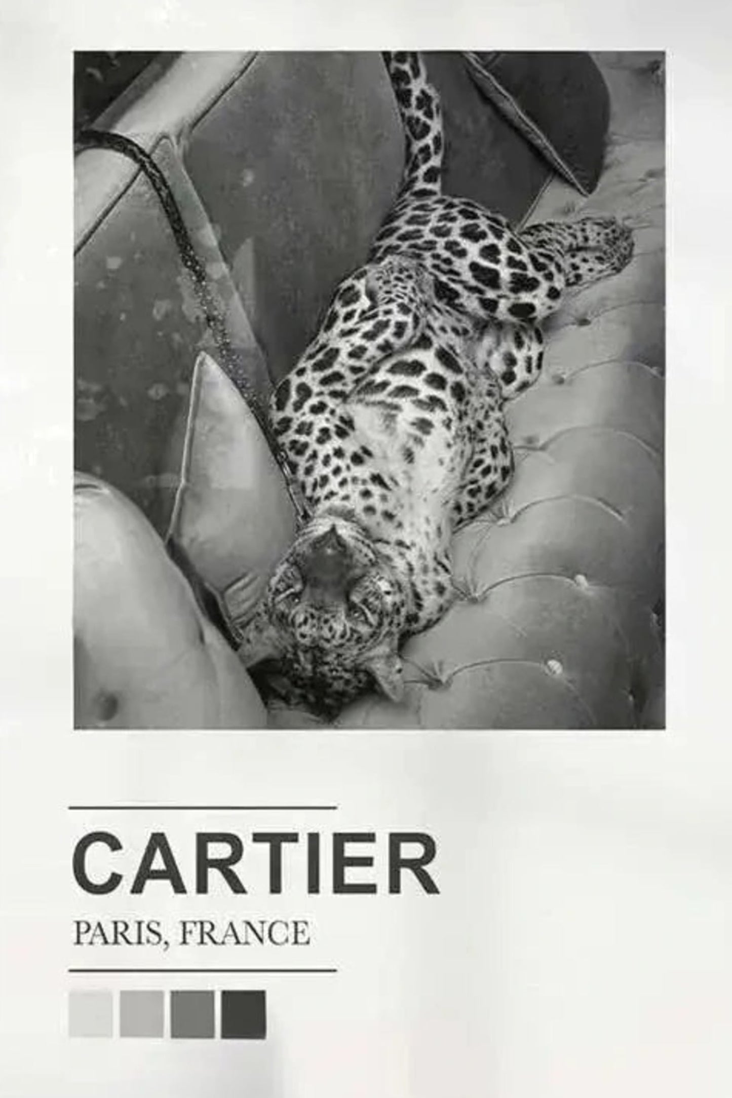 Cartier Expo | Paris Fashion Silhouettes