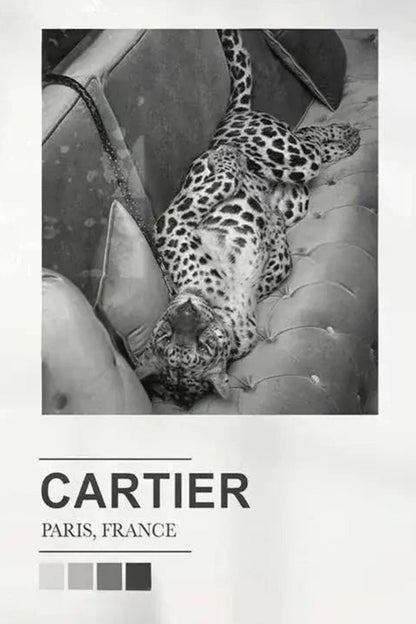 Cartier Expo | Paris Fashion Silhouettes
