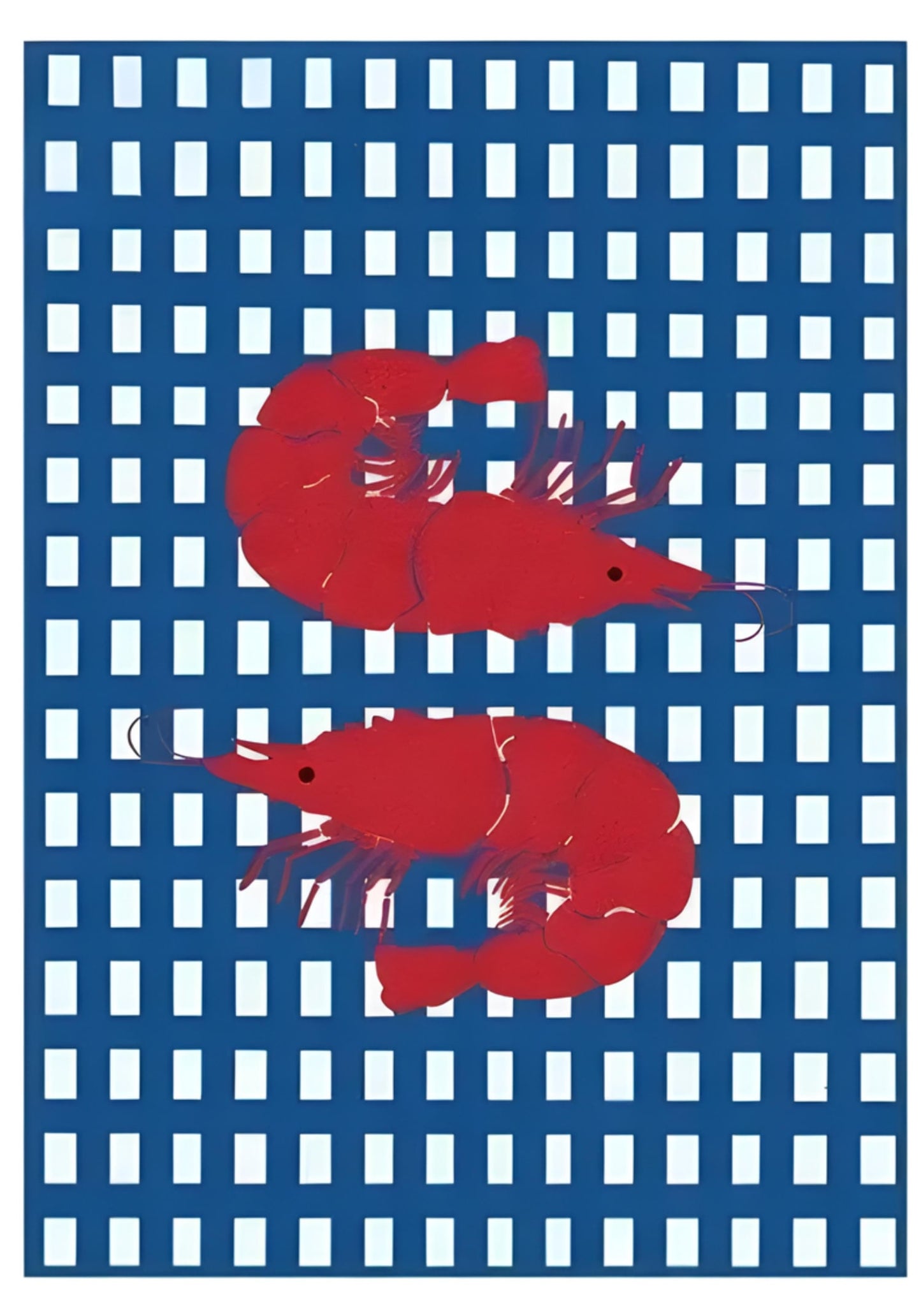 Nigirizushi Shrimp | Japanese Seafood Art