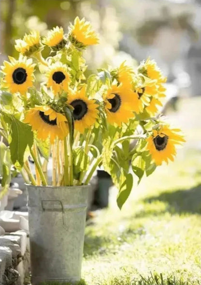 Sunflower Farmhouse | Rustic Windmill Scene