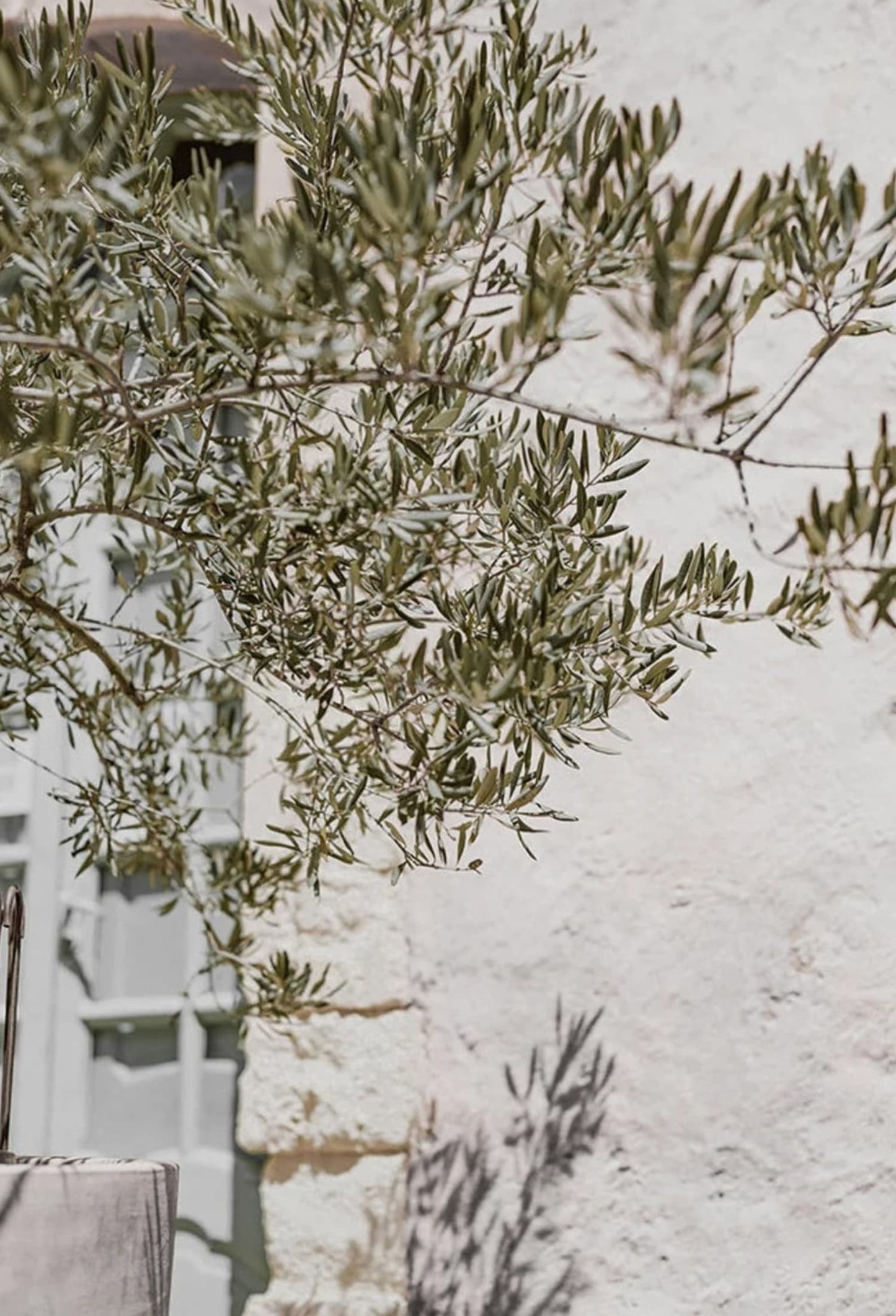 Olive Garden Italy | Echoes of Heritage