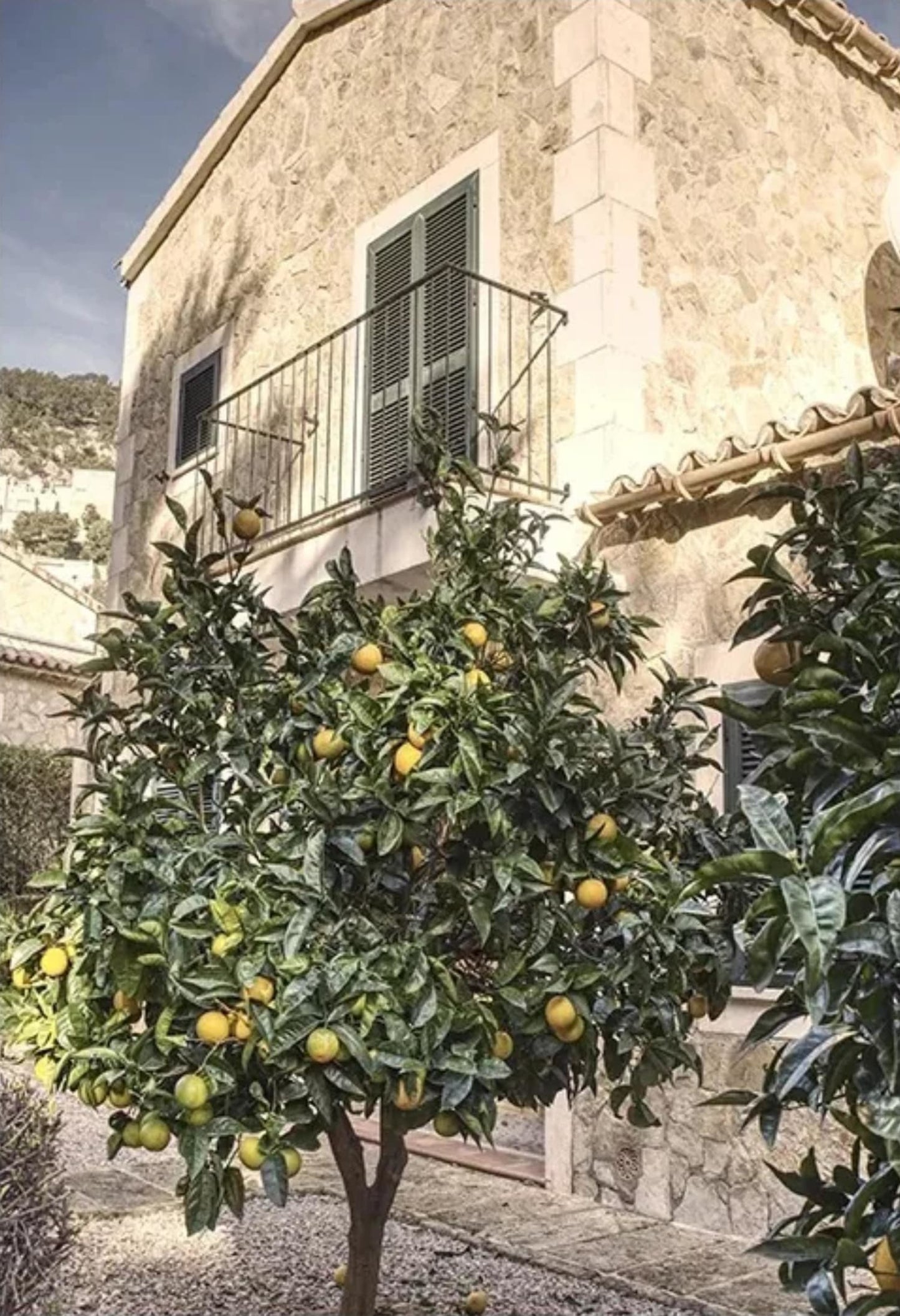 Italian Town Lemon Tree Landscape | Vibrant Decor