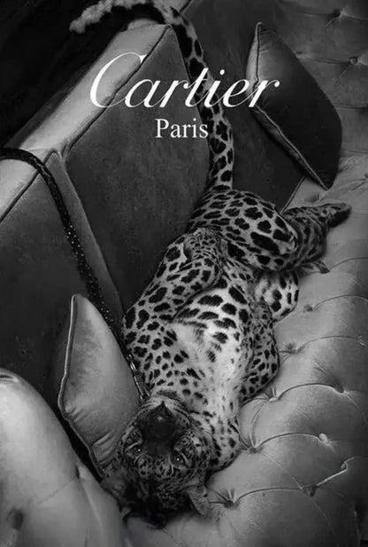 Cartier & Jaguar | Paris Fashion Silhouette