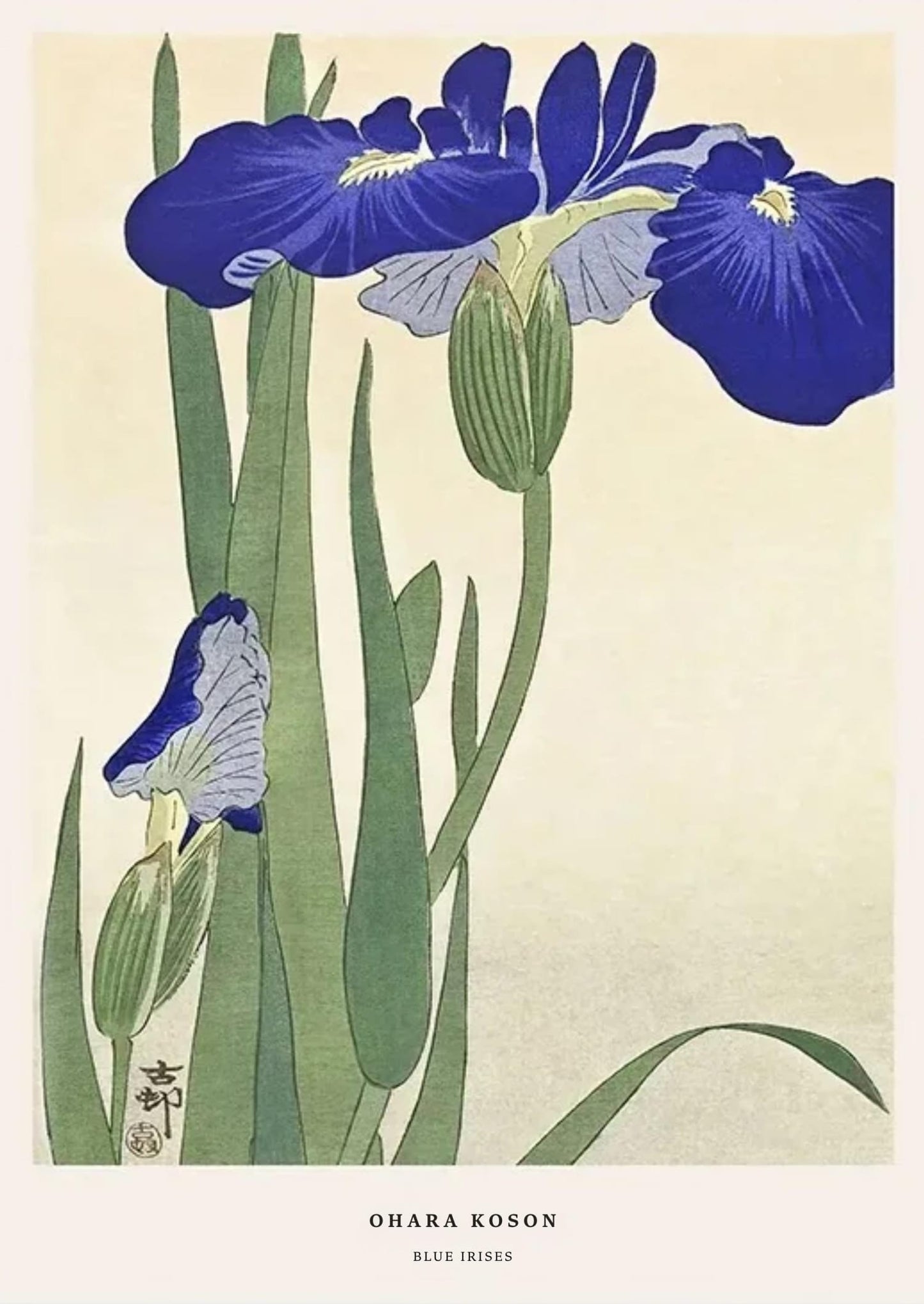 Ohara Koson | Blue Irises | Ukiyo-e Style