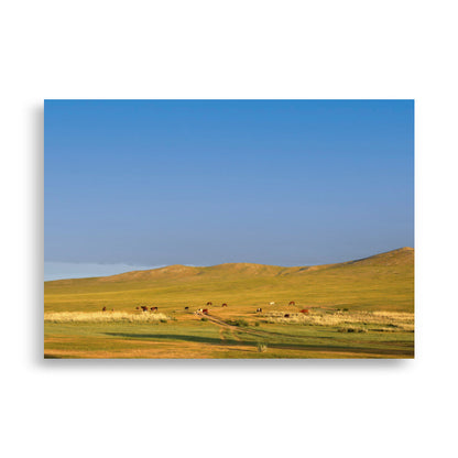 Poster - Steppe on a calm morning, Mongolia