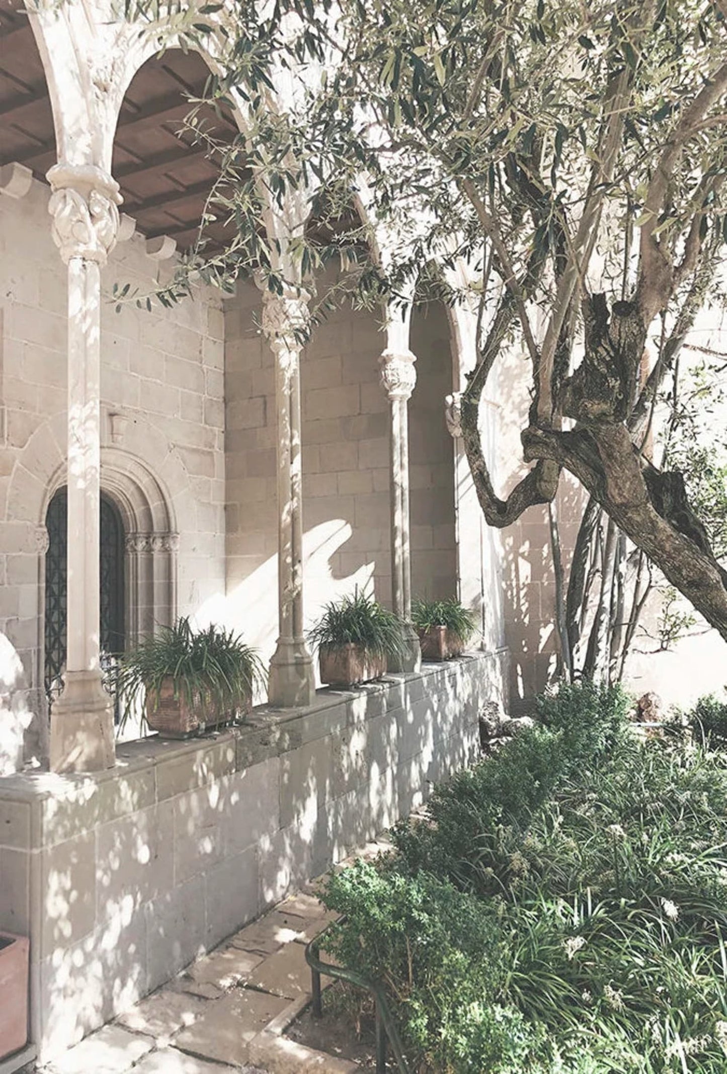 Italy Arches & Leaves | Olive Garden Scene