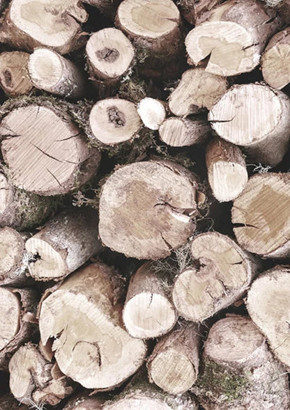 Nature's Geometry | Wall Art Poster | Geometric Design | Home Decor | Artistic Print | Visual Artwork | Nature-Inspired