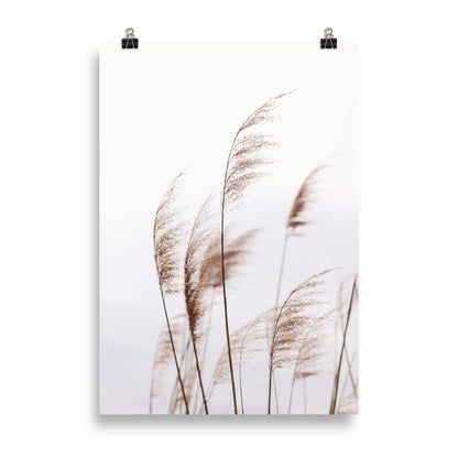 Windy Riets Scenic Landscape Poster | Nature Art Print | Home & Garden Decor | Wall Artwork