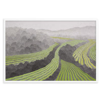 RICE FIELD