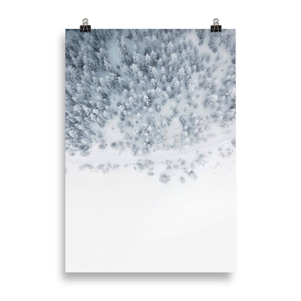 Winter Editions | Forest Entry Poster | Scenic Nature Artwork | Home Wall Decor