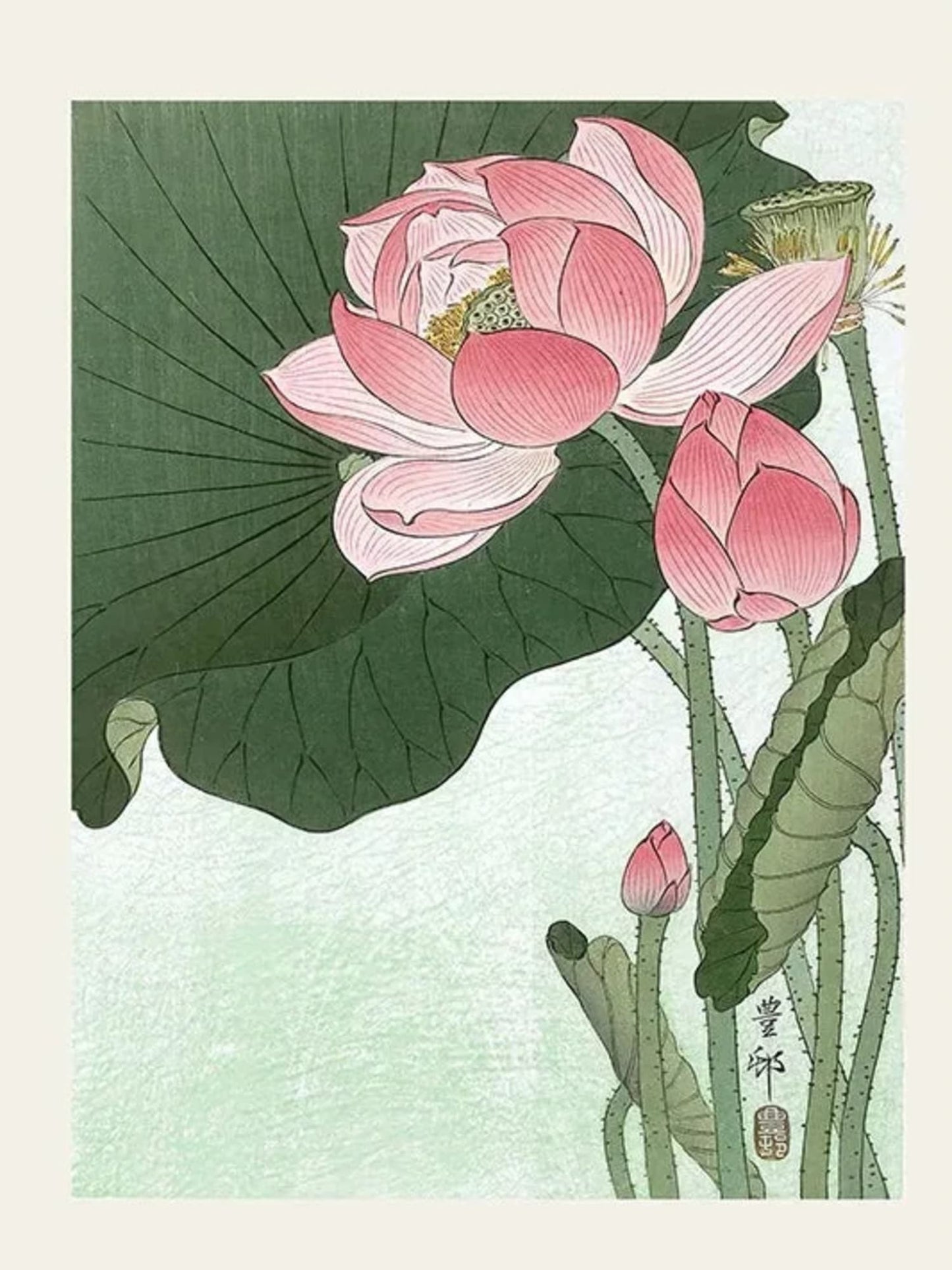 Ohara Koson Lotus Flower Poster | Japanese Ukiyo-e Artwork | Decorative Wall Art | Home & Garden Decor