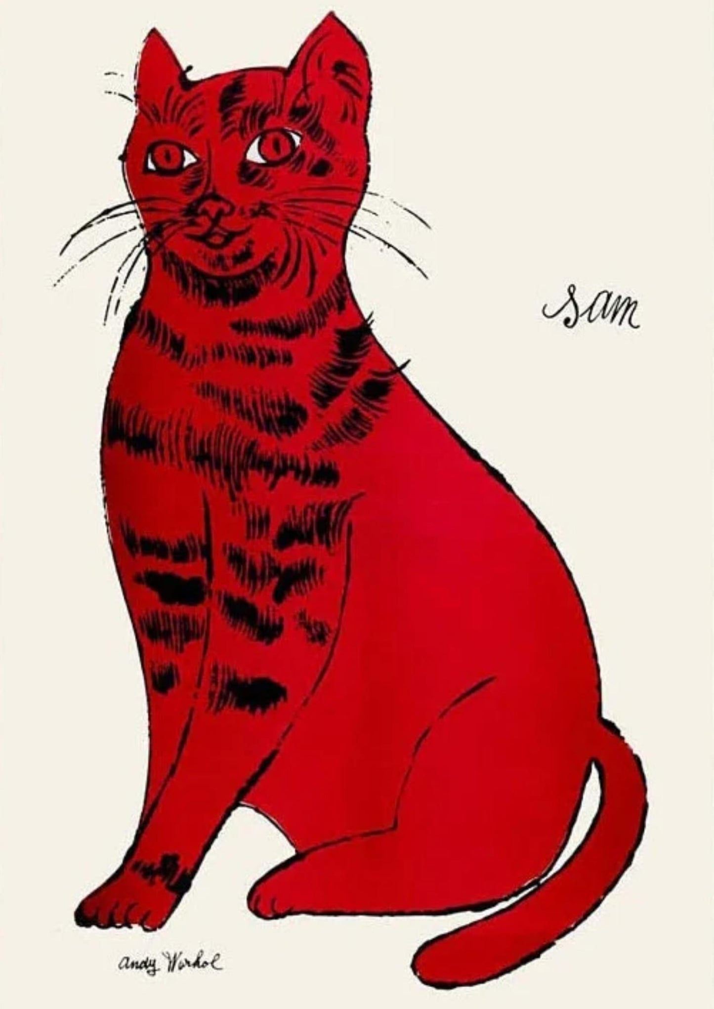 SAM THE CAT
