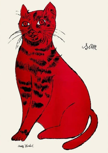 SAM THE CAT