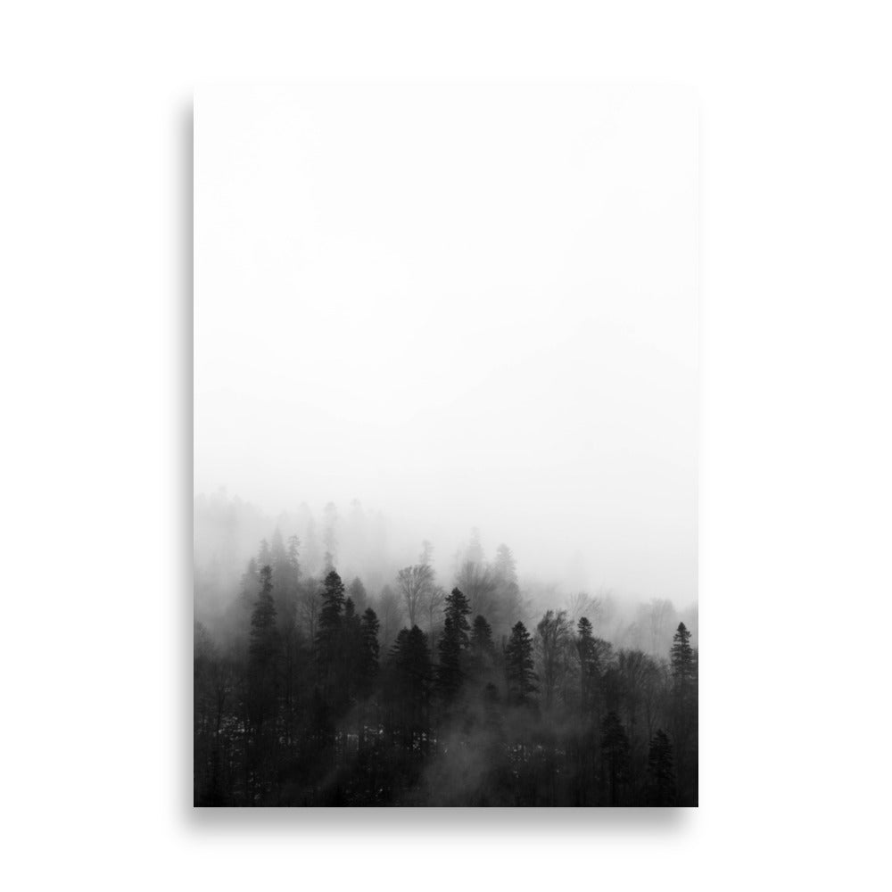 Poster - Forest in the fog