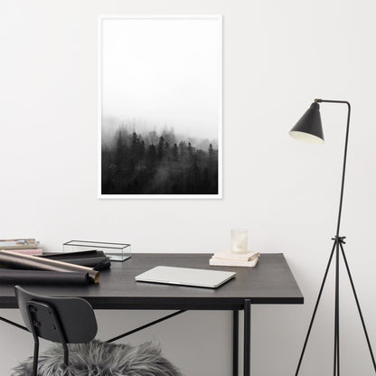 Poster - Forest in the fog