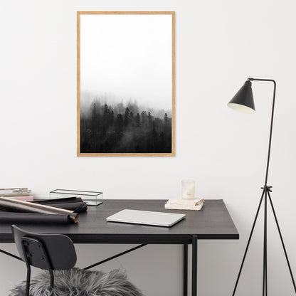 Poster - Forest in the fog
